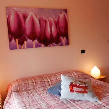 Apartament Casa Luciana *