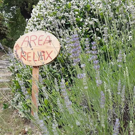 Casa Luciana Appartement Mergozzo