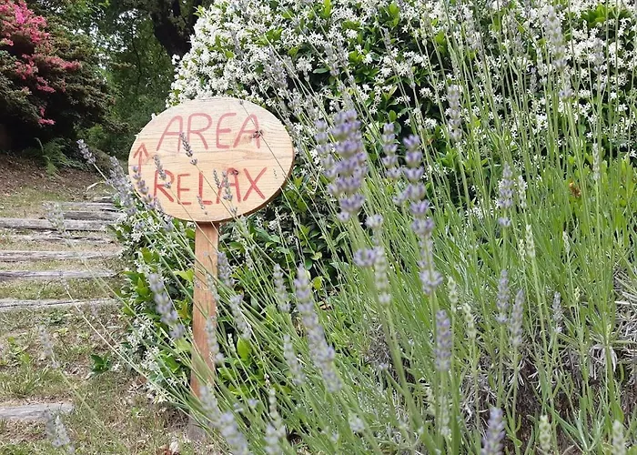 Casa Luciana Lejlighed Mergozzo