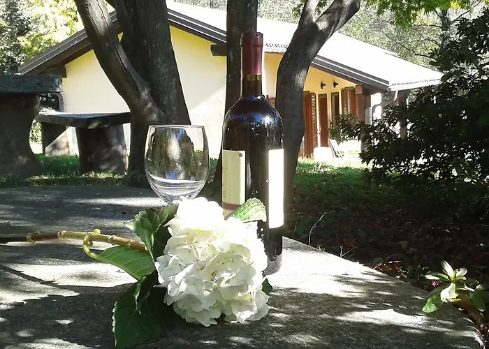 Casa Luciana Lejlighed *