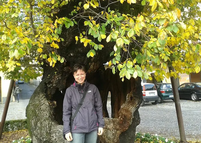 Casa Luciana Mergozzo